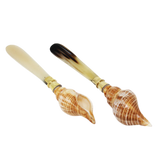 Sea Shell Spreader